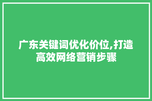 广东关键词优化价位,打造高效网络营销步骤