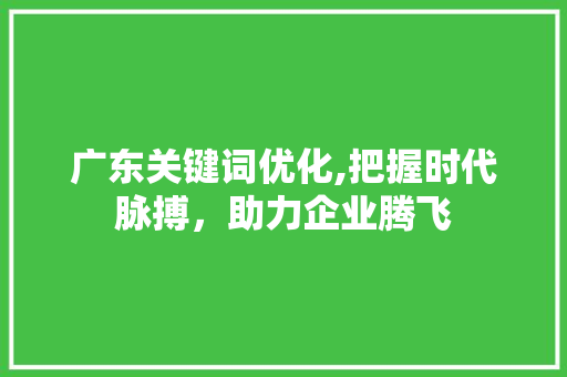 广东关键词优化,把握时代脉搏，助力企业腾飞 缓存Redis