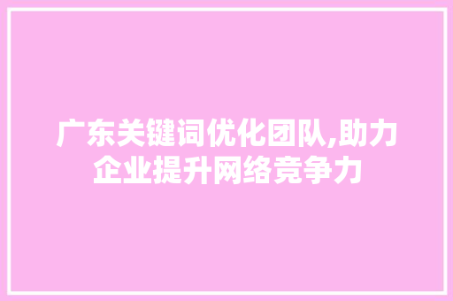 广东关键词优化团队,助力企业提升网络竞争力