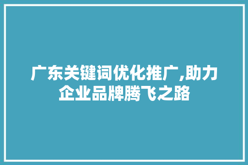 广东关键词优化推广,助力企业品牌腾飞之路