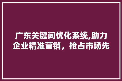 广东关键词优化系统,助力企业精准营销，抢占市场先机