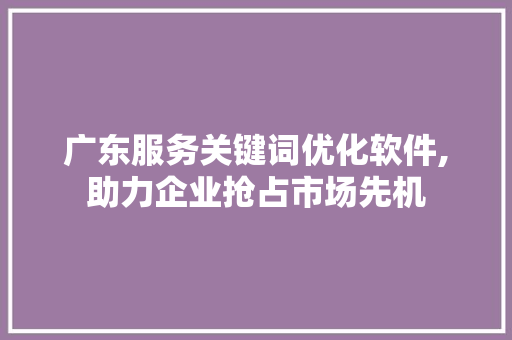 广东服务关键词优化软件,助力企业抢占市场先机
