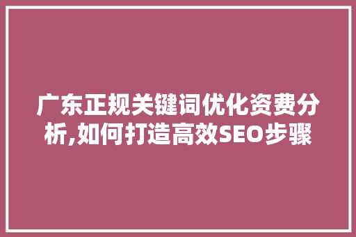 广东正规关键词优化资费分析,如何打造高效SEO步骤