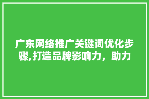 广东网络推广关键词优化步骤,打造品牌影响力，助力企业腾飞