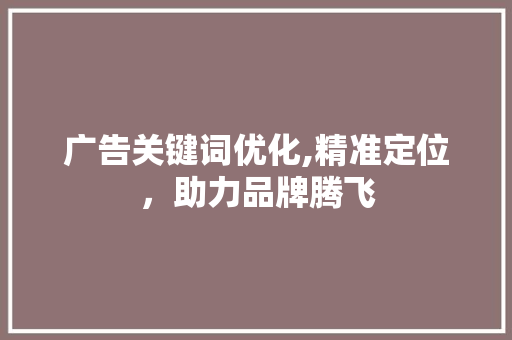 广告关键词优化,精准定位，助力品牌腾飞