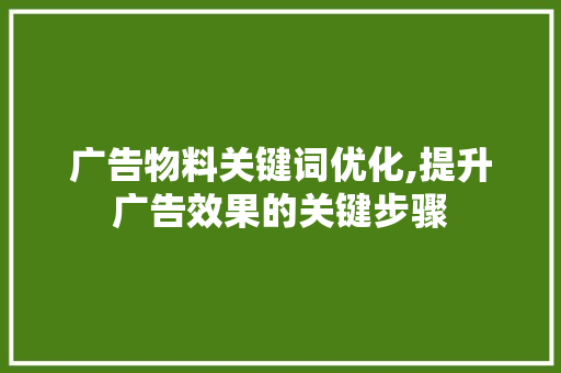 广告物料关键词优化,提升广告效果的关键步骤
