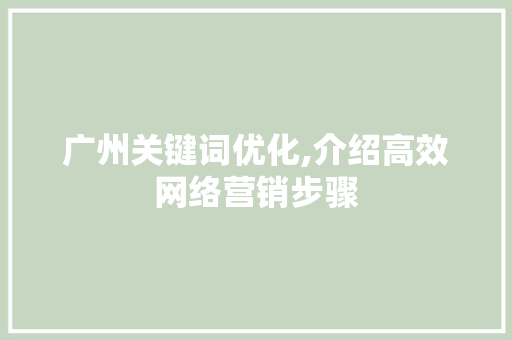 广州关键词优化,介绍高效网络营销步骤