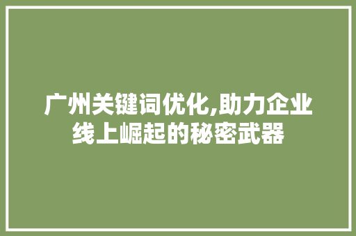 广州关键词优化,助力企业线上崛起的秘密武器