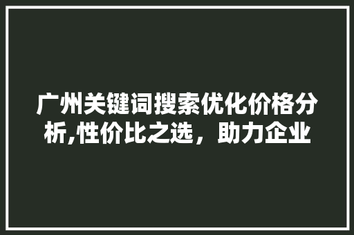 广州关键词搜索优化价格分析,性价比之选，助力企业腾飞