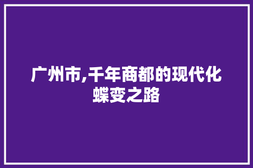 广州市,千年商都的现代化蝶变之路