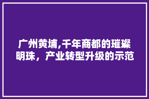 广州黄埔,千年商都的璀璨明珠，产业转型升级的示范窗口