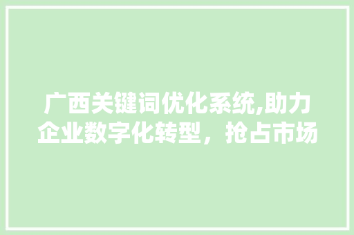 广西关键词优化系统,助力企业数字化转型，抢占市场先机