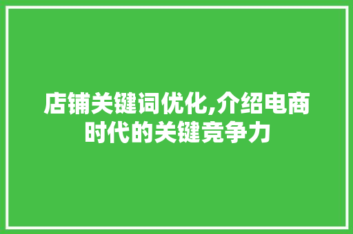 店铺关键词优化,介绍电商时代的关键竞争力