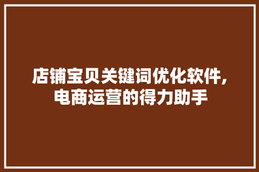 店铺宝贝关键词优化软件,电商运营的得力助手