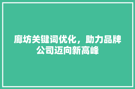 廊坊关键词优化，助力品牌公司迈向新高峰 MySQL