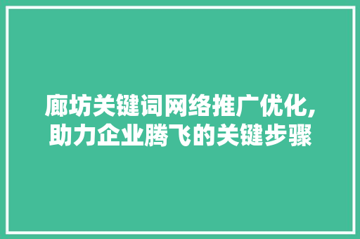 廊坊关键词网络推广优化,助力企业腾飞的关键步骤