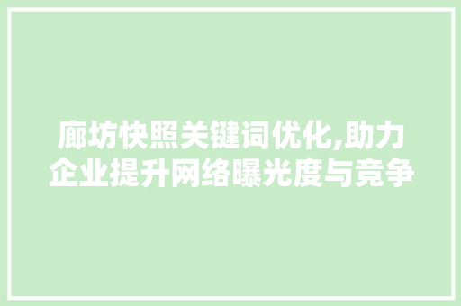 廊坊快照关键词优化,助力企业提升网络曝光度与竞争力