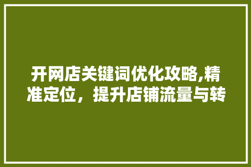 开网店关键词优化攻略,精准定位，提升店铺流量与转化率