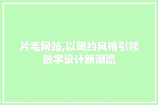 片毛网站,以简约风格引领数字设计新潮流