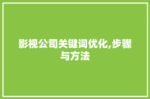 影视公司关键词优化,步骤与方法