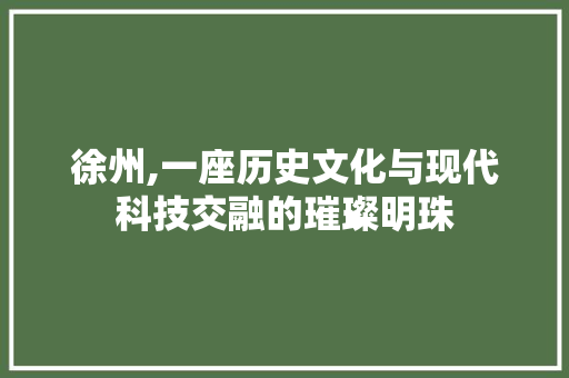徐州,一座历史文化与现代科技交融的璀璨明珠