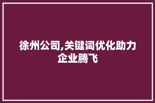 徐州公司,关键词优化助力企业腾飞