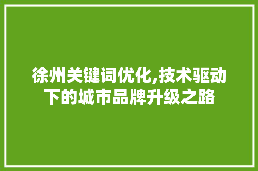 徐州关键词优化,技术驱动下的城市品牌升级之路