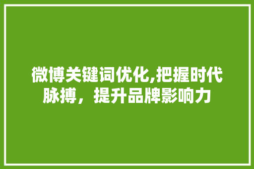 微博关键词优化,把握时代脉搏，提升品牌影响力 网站建设