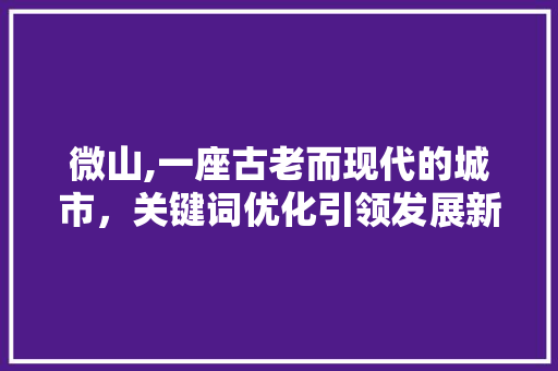 微山,一座古老而现代的城市，关键词优化引领发展新篇章