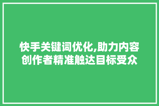 快手关键词优化,助力内容创作者精准触达目标受众