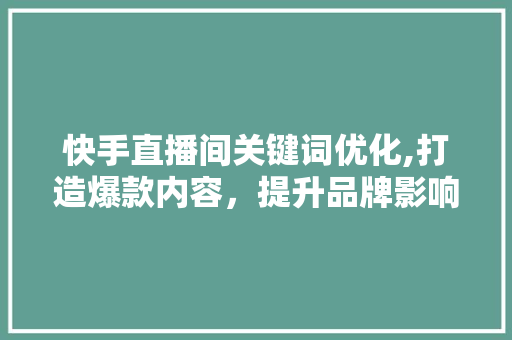 快手直播间关键词优化,打造爆款内容，提升品牌影响力