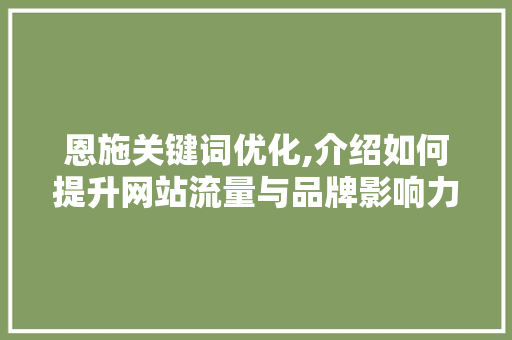恩施关键词优化,介绍如何提升网站流量与品牌影响力