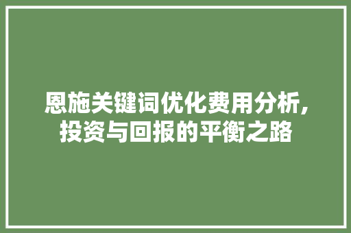 恩施关键词优化费用分析,投资与回报的平衡之路