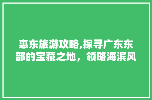 惠东旅游攻略,探寻广东东部的宝藏之地，领略海滨风情与历史文化