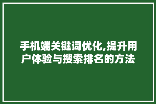手机端关键词优化,提升用户体验与搜索排名的方法 后端技术