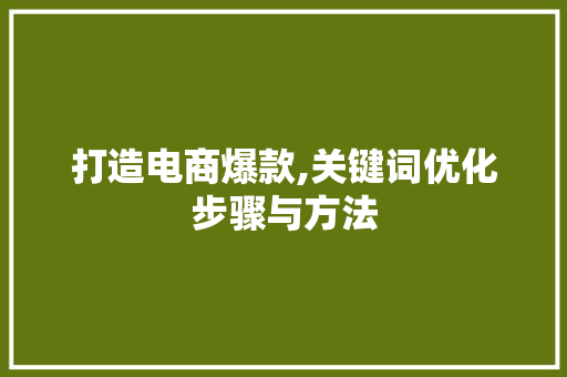 打造电商爆款,关键词优化步骤与方法
