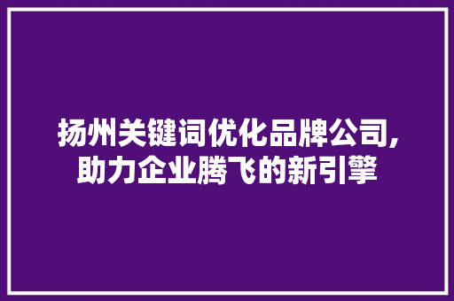 扬州关键词优化品牌公司,助力企业腾飞的新引擎