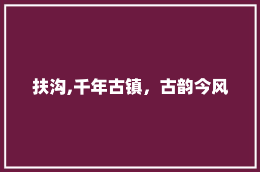 扶沟,千年古镇，古韵今风