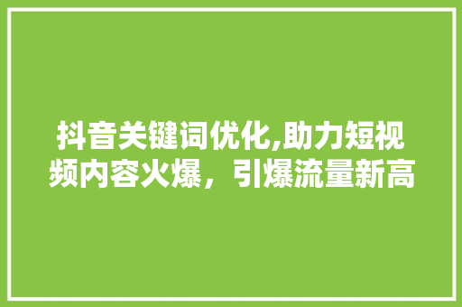 抖音关键词优化,助力短视频内容火爆，引爆流量新高峰
