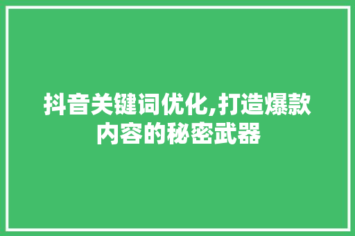 抖音关键词优化,打造爆款内容的秘密武器