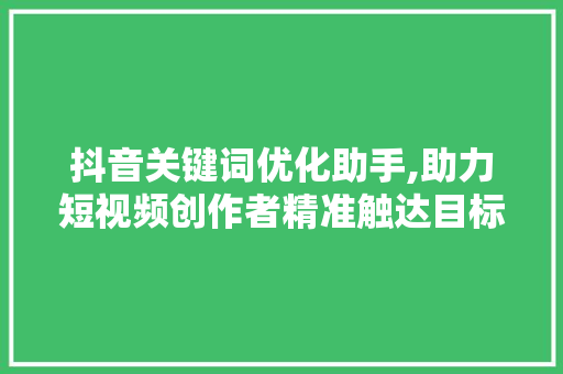 抖音关键词优化助手,助力短视频创作者精准触达目标受众