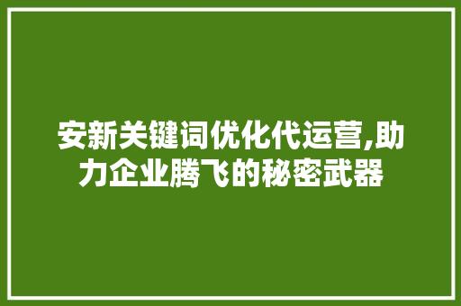 安新关键词优化代运营,助力企业腾飞的秘密武器