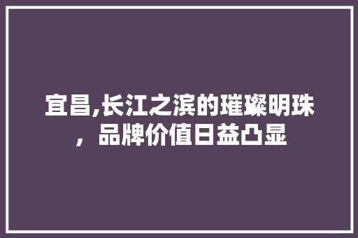 宜昌,长江之滨的璀璨明珠，品牌价值日益凸显