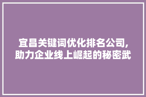 宜昌关键词优化排名公司,助力企业线上崛起的秘密武器
