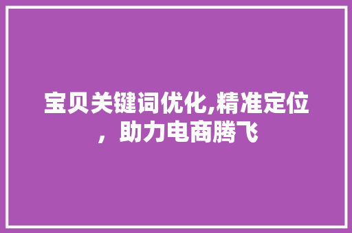 宝贝关键词优化,精准定位，助力电商腾飞