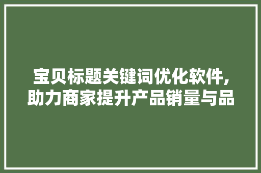 宝贝标题关键词优化软件,助力商家提升产品销量与品牌知名度