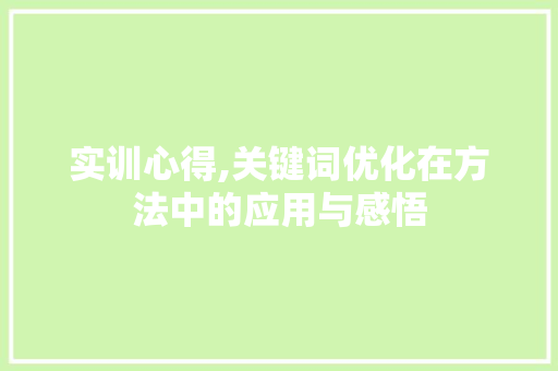 实训心得,关键词优化在方法中的应用与感悟