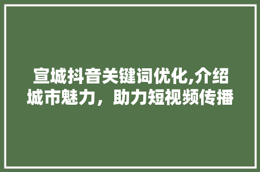 宣城抖音关键词优化,介绍城市魅力，助力短视频传播