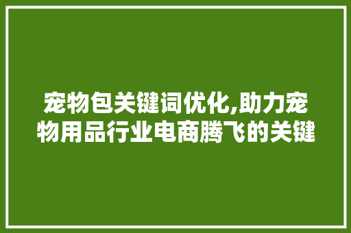 宠物包关键词优化,助力宠物用品行业电商腾飞的关键步骤