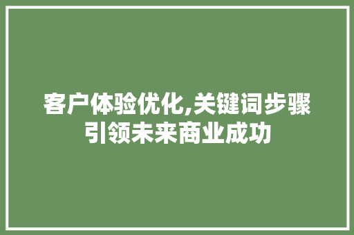 客户体验优化,关键词步骤引领未来商业成功